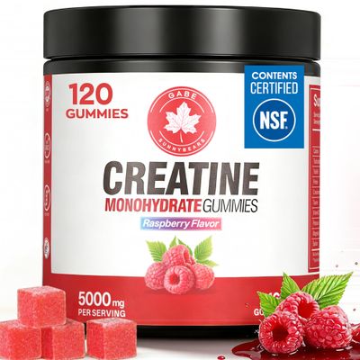 GABE SUNNYBEARS Creatine Gummies,(120Count) NSF Certified, 5g Creatine Monohydrate per Serving withTaurine & B12, Raspberry Flavor, for Men & Women