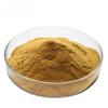 Hasyadeep Saptarangi Roots Powder | Salacia Oblonga | Salacia reticulata | Saptrangi Jadd Mix (50gm/1.76oz) view 1