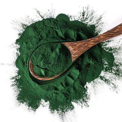 Hasyadeep Spirulina Powder | Arthrospira platensis (100gm/3.52oz)