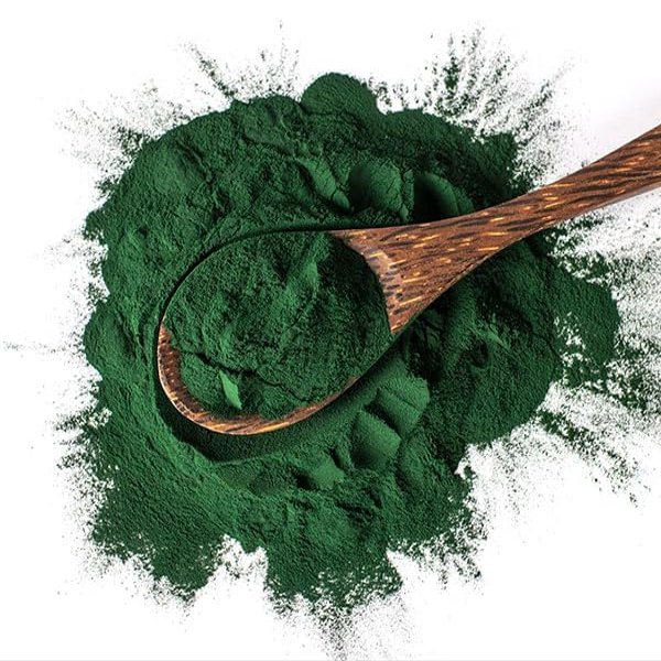 Hasyadeep Spirulina Powder | Arthrospira platensis (100gm/3.52oz)