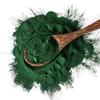 Hasyadeep Spirulina Powder | Arthrospira platensis (100gm/3.52oz) view 1