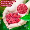 5oz Freeze Dried Raspberries Pieces No Sugar Added, 100% Real Crunchy Raspberries, Natural Fruit Snack for Kids & Adults, Non-GMO Healthy Topping for Yogurt, Smoothies, Cereal & Baking view 3