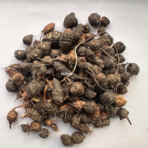 Trapat Giriraj Ji Collection Nagarmotha (Cyperus rotundus) Sedge Root Powder 250 gm