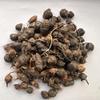 Trapat Giriraj Ji Collection Nagarmotha (Cyperus rotundus) Sedge Root Powder 250 gm view 1