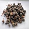 Trapat Giriraj Ji Collection Nagarmotha (Cyperus rotundus) Sedge Root Powder 250 gm view 2