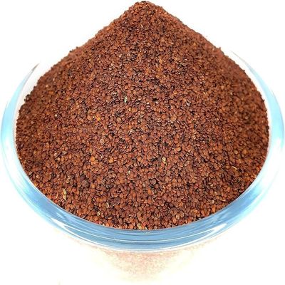 Hasyadeep Lajwanti Seed | Mimosa pudica (450gm/15.87oz)