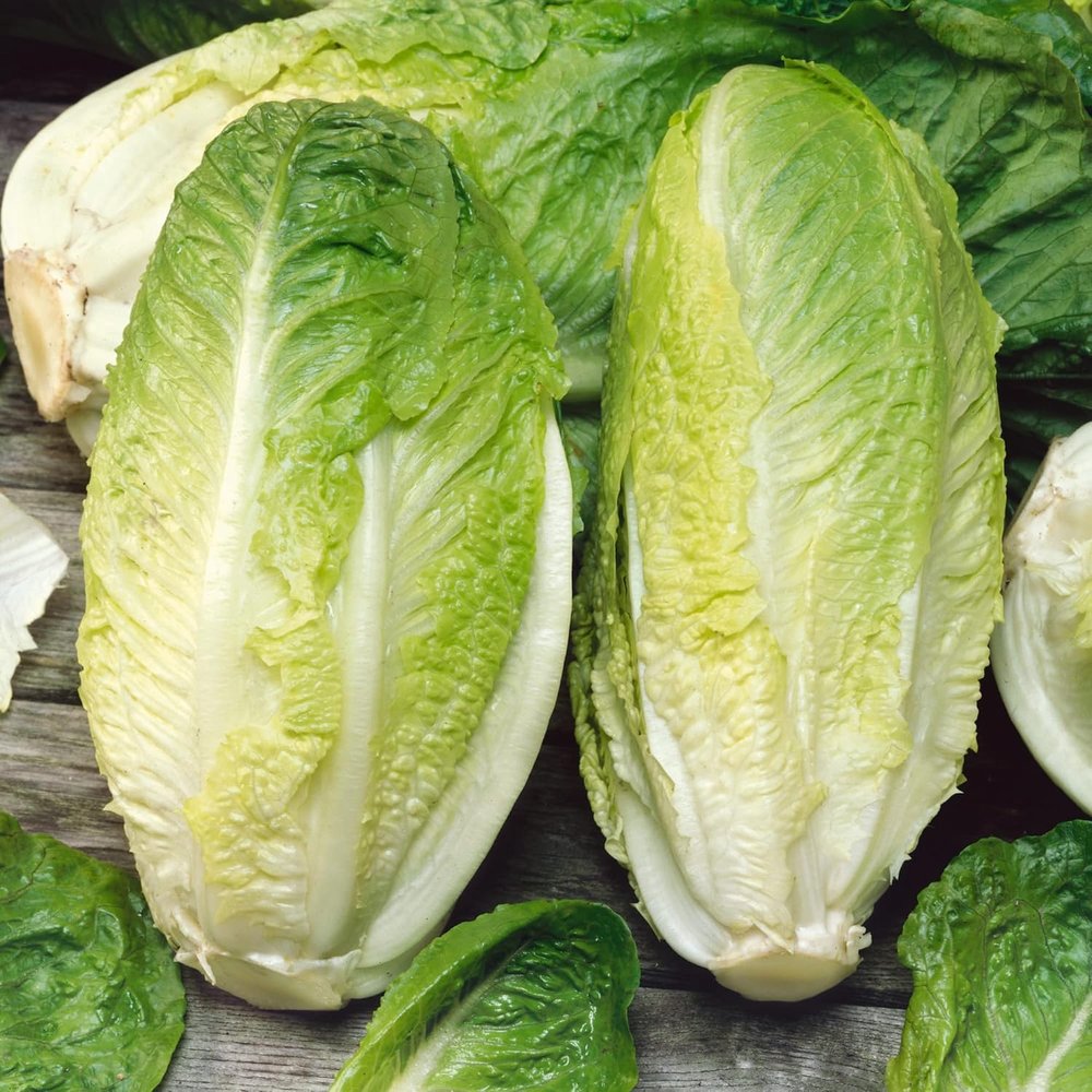 Lettuce Romaine Hearts Organic, 3 Count