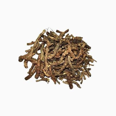Hasyadeep Kutki Root | Picrorhiza kurroa (100gm/3.52oz)