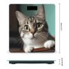 A Curious Cat Bathroom Scale for Body Weight Bathroom Weighing Scale with Backlit LCD Display Highly Accurate Measures Weight Up to 180kg view 2