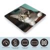 A Curious Cat Bathroom Scale for Body Weight Bathroom Weighing Scale with Backlit LCD Display Highly Accurate Measures Weight Up to 180kg view 3