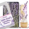 100+ Edible Lavender Sprigs for Cocktails & Dessert, 6.69'' Edible Flowers for Drinks Garnish Tea DIY Craft, Food Grade Culinary Lavender Flower Bud 1.27oz(36g) view 1
