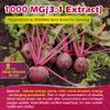 Beet Root Gummies with L-Citrulline & L-Arginine, Nitric Oxide Supplements for Men & Women, Grape Seed, Pomegranate, Saffron for Healthy Circulation, Vsculr & Vitality, Vegan, Sugar Free, 120Cts view 4