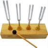 EUQKKWLOY Resonance Tuning Fork Set - Sound Propagation & Vibration Experiment Equipment for Physics Labs view 1