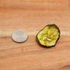 Crunchy Dehydrated Cucumber Sliced 16oz Bag Veggie Crisps with Fresh Green Aroma Natural Plant Snack Ideal for Smoothies, Salads, Infused Drinks, and Gourmet Cooking Creations view 3