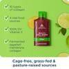 Ancient Nutrition Multi Collagen Protein Gel with Probiotics & Vitamin C, Hydrolyzed Collagen Peptides for Skin, Hair, Nails, Joints & Gut Health, Lime, 15 Packets view 3