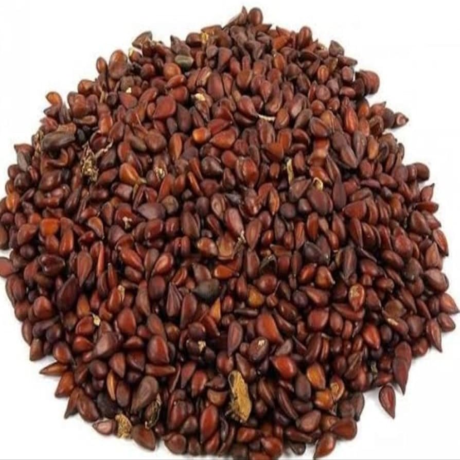 Hasyadeep Bedana Seed | Quince | Cydonia Oblonga (100gm/3.52oz)