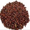 Hasyadeep Bedana Seed | Quince | Cydonia Oblonga (100gm/3.52oz) view 1