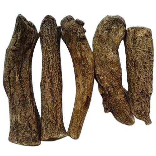 Hasyadeep Kuth Roots | Costus | Kushta | Saussurea Lappa (50gm/1.76oz)