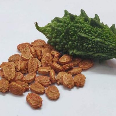 Hasyadeep Bitter Gourd Seed | Karela | Momordica Charantia (900gm/31.75oz)