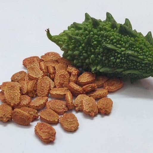 Hasyadeep Bitter Gourd Seed | Karela | Momordica Charantia (900gm/31.75oz)