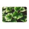 Ivy Blossoms Tree Print Diatomaceous Bathroom Rug Non Slip Mat for Kitchen Floor Tub and Shower Sink view 1