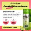 Drizz Mojito Mix Drops - 1 Pack, Makes 30 Drinks - Mint Lime Mojito Mixer - Pocket-Sized Cocktail & Mocktail Mix, Just Add Rum & Water, No Muddling - Zero Sugar, Low Calorie, Made in USA view 2
