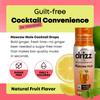 Drizz Moscow Mule Mix Drops - 1 Pack, Makes 30 Drinks - Ginger Beer Alternative - Pocket-Sized Cocktail & Mocktail Mix Just Add Vodka & Water Zero Sugar, Low Calorie, Made in USA view 2