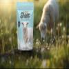 100% NATURAL Dried Sheep Milk Powder | 100gm (3.5 Oz) Pack view 3