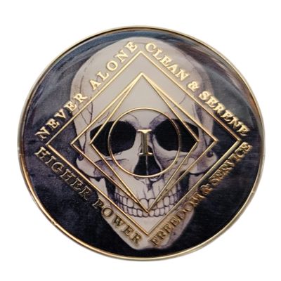 16 Year Skull Design NA Style Clean Time Chip Black Just for Today Medallion