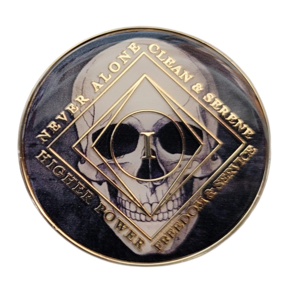 16 Year Skull Design NA Style Clean Time Chip Black Just for Today Medallion