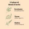 Adanim Bio Organic Thyme Eucalyptus Mullein Tea Thyme Leaves Caffeine Free Herbal Tea Thyme Leaf Tea Natural Kosher 40 Tea Bags view 3