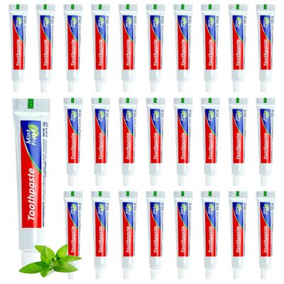 200 Tubes Travel Size Toothpaste in Bulk, Mini Small Toothpaste Mint Flavor Toothpastes for Guests Homeless Hotel Charity Toiletries Camping, 0.35oz/10g