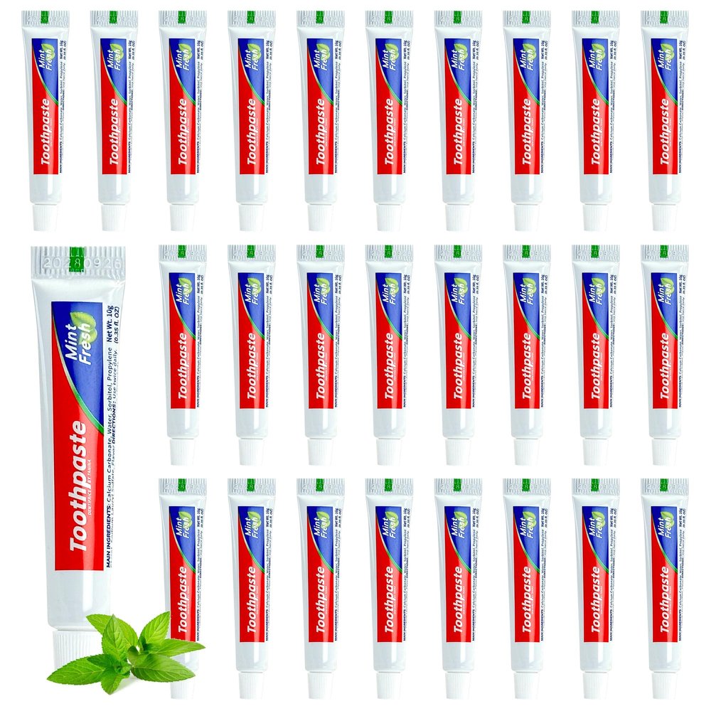200 Tubes Travel Size Toothpaste in Bulk, Mini Small Toothpaste Mint Flavor Toothpastes for Guests Homeless Hotel Charity Toiletries Camping, 0.35oz/10g