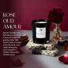 Malbella Essentials Candle & Warmer Set 8.5 oz Coconut Blend Luxury Candle + Hand Blown Glass Lamp Warmer | Flameless Aromatherapy | Modern Self-Care Gift Set (Gold, Rose Oud) view 4