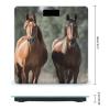 Animales Horses Digital Bathroom Scale for Body Weight with High Precision Digital Weighing Scale with BMI Clear LCD Display and Step-On Measures Weight Up to 180kg view 2