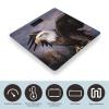 Bald Eagle Digital Bathroom Scale for Body Weight with High Precision Digital Weighing Scale with BMI Clear LCD Display and Step-On Measures Weight Up to 180kg view 3