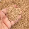 Fake Bake Crushed Graham Cracker Sprinkle Crumbs, Faux NON EDIBLE Flake Shavings for Decoden Cakes, Dessert Toppings, Craft Embellishments (Container) view 1