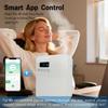 Smart Aroma Diffuser for Home & Business, 240ml Waterless Essential Oil Diffuser with App Control, Covers 400 to 2000 Sq.Ft, Pure Essential Oil Only for Hotel, Office, Spa view 2