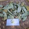 Daun Sawo (Manilkara zapota) Sapodilla Dried Leaves (200 gram) view 4