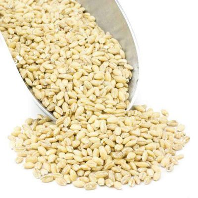 Organic Hulled Barley Berries - 5lbs