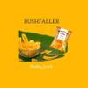 Bushfaller Mixed Plantain Chips Variety Pack, Assorted Ripe and Unripe Flavors, Naturally Sweet and Lightly Salted, Healthy Vegan Snack Made with 100 Percent Vegetable Oil, Non-GMO, Zero Sugar, 1.2 oz Bags, 6-Packs view 2