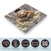 Sloth on Zipper Scale for Body Weight Digital Bathroom Scale Toughened Glass High Precision Scales for Body Weight with Large LCD Backlight Display Weight Scales view 3