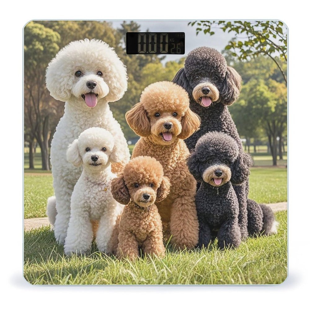 Poodles Dogs Scale for Body Weight Digital Bathroom Scale Toughened Glass High Precision Scales for Body Weight with Large LCD Backlight Display Weight Scales