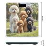 Poodles Dogs Scale for Body Weight Digital Bathroom Scale Toughened Glass High Precision Scales for Body Weight with Large LCD Backlight Display Weight Scales view 2