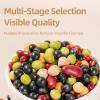 7 Bean Soup Mix | 850g / 1.87lb | PoetrySeptember Premium Chinese Variety for Soups, Stews, Chili & Salads Soybeans, Black Beans (Green/Yellow Core), Red Adzuki, Dual Green Beans, Red Kidney Beans, Chickpeas view 4