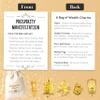 Good Luck Money Affirmation Card Gift, FengShui Gift of Wealth, Success, Positivity & Abundance for Friends, Coworkers or Self, Ideal for Encouragement, Graduation, New Job, Birthday, Christmas, Anniversary & Special Occasions view 2