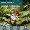 AEVUMERA Lavender Essential Oil Premium Grade Lavender Oil, Natural for Home Scenting & DIY Candle/Soap Making, Air Freshener, Diffuser, Skin and Hair Care, Massage, Aromatherapy - 4Oz Large Capacity view 2