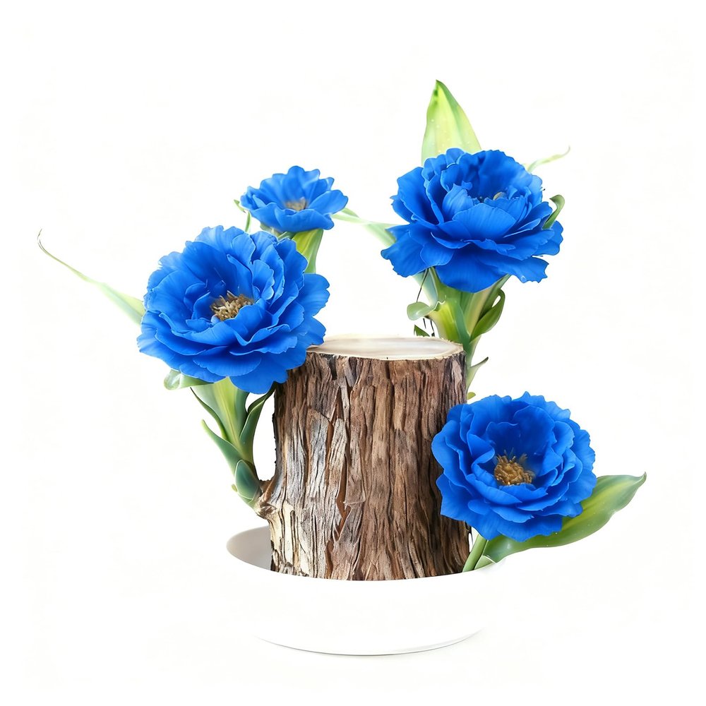 Brazil Wood Plant,Brazilian Lucky Plant,Home and Office Decoration, Desktop Plants,Housewarming Gift for Good Luck and Prosperity. (1, Blue)