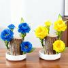 Brazil Wood Plant,Brazilian Lucky Plant,Home and Office Decoration, Desktop Plants,Housewarming Gift for Good Luck and Prosperity. (2, Yellow) view 2