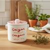 Aux Anysetiers Du Roy, French Oregano (Origan), in Lidded Ceramic Crock, 0.7 oz (20 g), Imported from France view 1